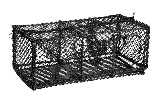 Hummerteine / Krabbeteine 9kg